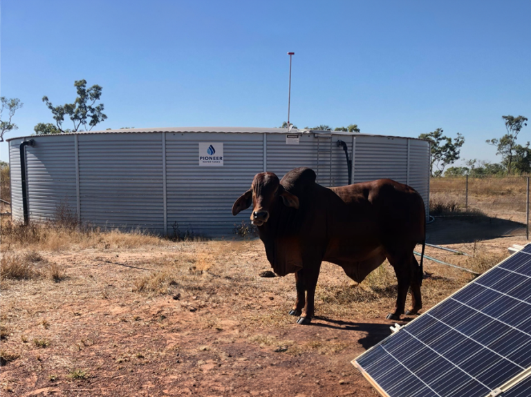 cattle-tanks-for-sale