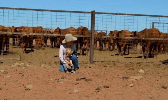 Pioneer cattle station water tanks